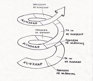 inlärningsprocessen