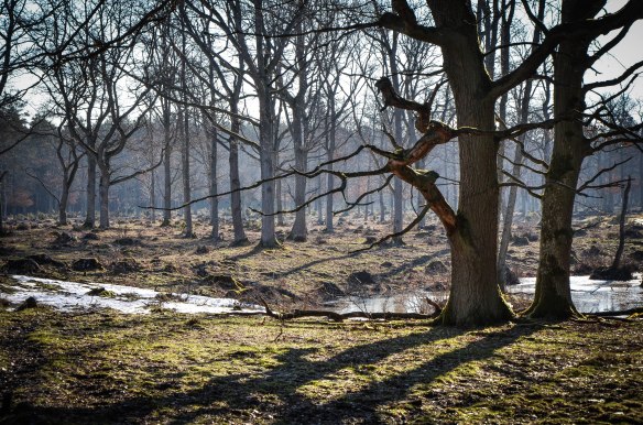 Beijershamn 14 april 2013-2