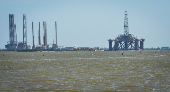 Träskmarker vid Mexikanska Gulfen-50