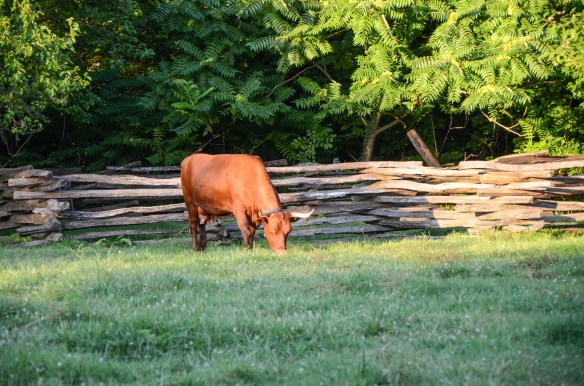 Colonial Willamsburg 2014-16