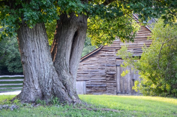 Colonial Willamsburg 2014-18