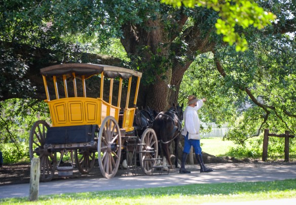 Colonial Williamsburg-20