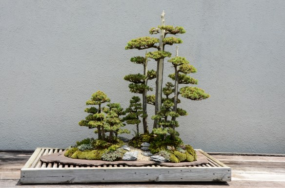 Natioanl Arboretum Washington 2014-16