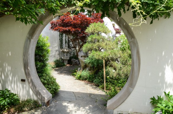 Natioanl Arboretum Washington 2014-18