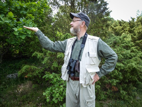 Juni 2016 när precis nått min målvikt (82 kg).